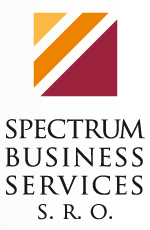 Spectrum Business Services